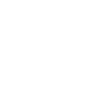 FSB logo